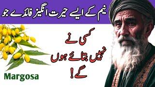 Neem ke fayde | Neem ki nimboli ke fayde | Urdu Scroll