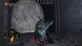 Dark Souls 3 как убить босса древняя виверна