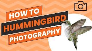 Hummingbird Photography - Gear, Settings & Tips!