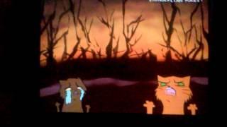 Crazy Warrior Cats