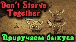 Don't Starve Together - ПРИРУЧАЕМ БИФАЛО