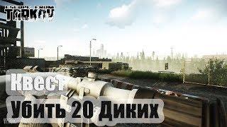 Escape from Tarkov. Сделали квест - Бомж с Полихима (Убить 20 диких на Таможне)