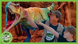 Can the Park Rangers Find the NEW T-Rex?! | T-Rex Ranch Dinosaur Videos