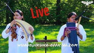 Wuauquikuna Concert