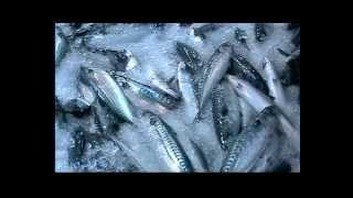 Finsam ice slurry
