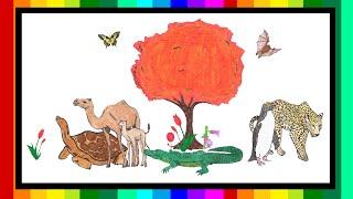 Imani Kids Plants and Animals A to Z Part Two 2