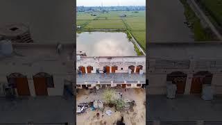 #mewati #short #video #viral #news #hakku_singariya_hakku_mewati_hakku #mewat #mewatnews #sarpanch