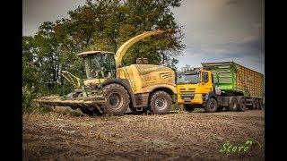 MAIZE SILAGE 2019|| Krone BigX 1180 OptiMaize