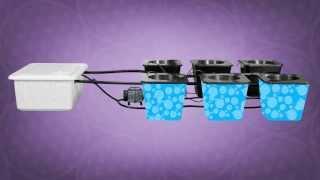 Hydroponic Bubble Buckets | Best Hydroponic Bucket System | Super Bubble Flow Buckets