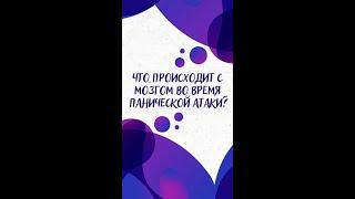 Что происходит с МОЗГОМ во время ПАНИЧЕСКОЙ АТАКИ? — Научпок #Shorts