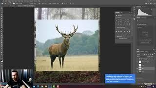 Photoshop CC 2021 Combining Images Tutorial