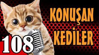 Konuşan Kediler 108 - En Komik Kedi Videoları - PATİ TV