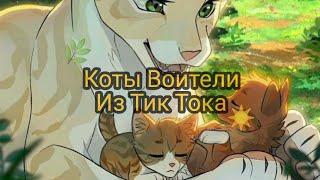 Подборка с тик Тока (Коты Воители)