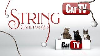 CAT TV Games | It's All About the STRING! | String Game for Cats to Watch