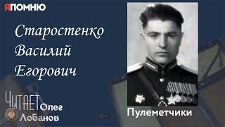 Старостенко Василий Егорович.  Проект "Я помню" Артема Драбкина. Пулеметчики.