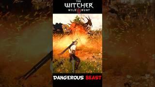 ️DANGEROUS BEAST️ #shortsvideo #shorts #short #shortvideo #witcher #witcher3 #wildhunt