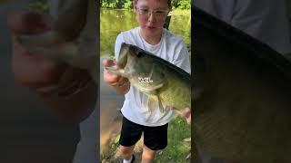 #bassfishing #fishing #sportfishing