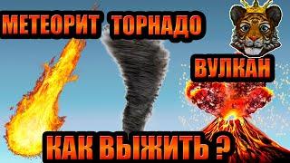 Пытаюсь выжить в природных катастрофах в Роблоксе | Roblox Natural Disaster Survival