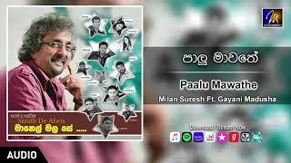 Paalu Mawathe | Milan Suresh  Ft.  Gayani Madusha