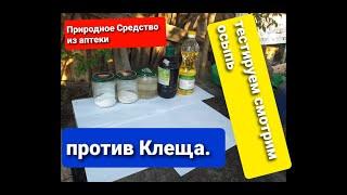 Природное Средство из Аптеки против Клеща Варроа, Проверяем Тестируем, смотрим осыпь вароа