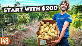 Uncover The 7-Figure Exotic Fruit Farm Business