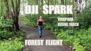 DJI SPARK - Forest Flight - Tripod & Active Track modes