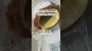 Hear the Relaxing Sound of Flowing Water | #rmjpisonet #trending #remix #viral #asmrsounds #asmr