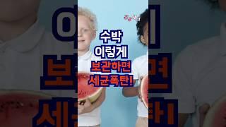 수박 이렇게 보관하면 절대 안되요. #건강 #건강관리 #건강정보 #건강한삶 #건강음식 #수박 #이렇게 #보관 #세균 #폭탄