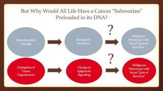 Travis Christofferson, MS -- Cancer 2.0: A Paradigm Shift