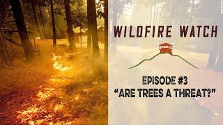Wildfire Watch: Are Trees A Threat?