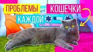 ПРОБЛЕМЫ КАЖДОЙ КОШЕЧКИ