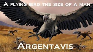 Prehistoric Breakdown: Argentavis