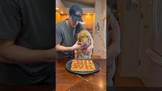 Leaving my Dog alone with pizza #shorts #goldenretriever ￼