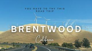 ROAD TRIP in USA #travel #roadtrip