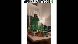 ВЕСЁЛЫЙ КАКТУС . Приколы. Хохма. Ржака