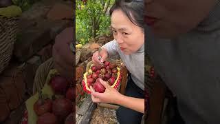 Beautiful Nature - Inspur Fresh Fruit wonderful video of Industry #9714