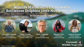 Wildlife Matters LIVE - Cornwall's Bottlenose Dolphins