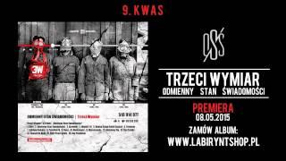 9. Trzeci Wymiar - Kwas (prod. Dj Creon, cuty: Dj Qmak)