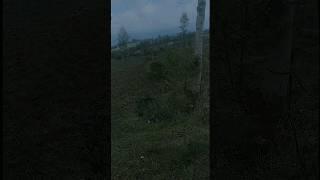 Puncak