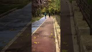 Training. #training
