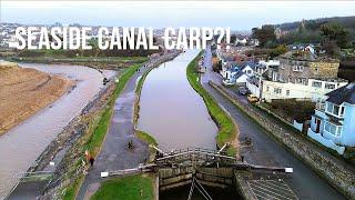 Spring Carp Fishing Challenge: Can You Catch in a Seaside Canal? (UK)