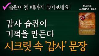 론다 번의 '시크릿 데일리 티칭' 속 감사 문장만! / 감사가 습관이 될 때까지 반복해서 들어보세요! (7번 반복) / Healing Voice Book ASMR