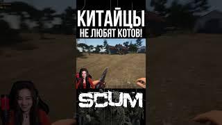 КИТАЙЦЫ В СКАМ 0.95 #scum #pvp #survival #shorts #выживание #stream #scum0.95 #китайцы