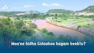 Waa'ee hidha Gidaaboo hagam beektu? etv |Ebc  |Etv Afaan Oromoo| oduu Etv Afaan Oromoo |Ethiopia