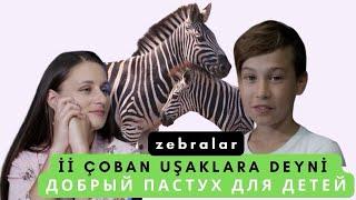 Zebralar || İi Çoban UŞAKlara deyni || Добрый Пастух для ДЕТЕЙ