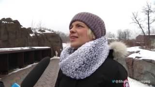 Shaw TV @ Assiniboine Park Zoo: What to do in Winter