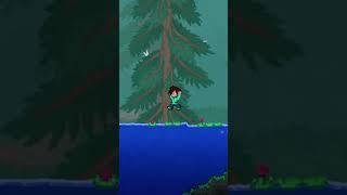 How to start Terraria with ABSOLUTELY NOTHING #shorts #terraria #education #funny