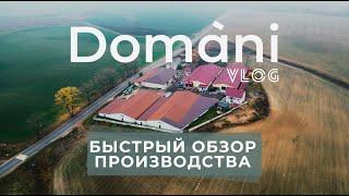 Быстрый обзор производства Domani