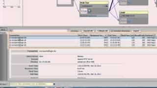 BlueStripe Tutorial 4 -Transaction Monitoring