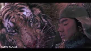 Tiger VS Wolf Fight Scene  HD